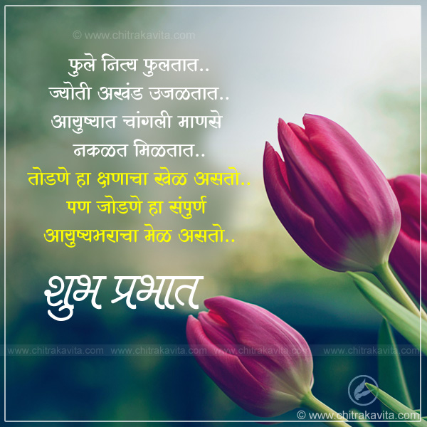 Good-Morning-Flowers Marathi Good-morning Quote Image